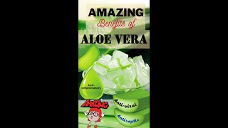 Health Benefits of Aloe Vera | Miracle Plant-Aloe Vera | #shorts | Dr. Seema