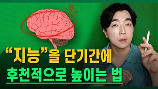 뇌과학자들이 증명한 《지능, IQ 향상법》 ┃ ft. 공개 강연 공지