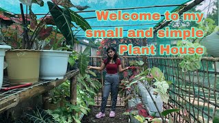 Welcome to my simple and small Plant House #plantscollection #plantsforsale