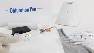 Dental Cordless Gutta Percha Obturation System Endo Heated Pen + 4 Tips