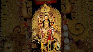 ৫ ঘণ্টা ধরে হেঁটে ঠাকুর দেখলাম #chandannagarjagadhatripuja2023 #shorts #Jagadhatri