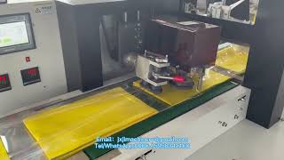 JL-B700 Automatic Nonwoven Cleaning Mop Flow Wrapping Machine