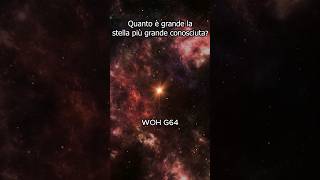 ✨ Quanto è grande la stella più grande conosciuta?