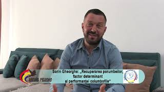 Sorin Gheorghe: „Recuperarea porumbeilor, factor determinant al performanţei columbofile“