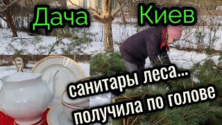 7 февр.2023г. ДАЧА. Киев. САНИТАРЫ леса. Получила по голове.