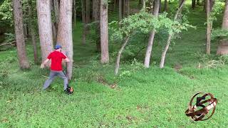 Top 10 Disc Golf Shots - September 12, 2020