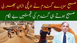 Wheat Price in Punjab Pakistan Today