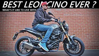 Living with the Benelli Leoncino 800: Long Term Review