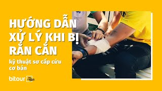 Bi's Vlog - Hướng dẫn xử lý khi bị rắn cắn - Kỹ thuật sơ cấp cứu cơ bản | Bitour x SSVN