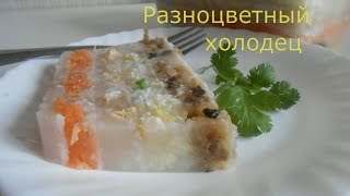 Китайский пятицветный АСПИК, холодец с овощами