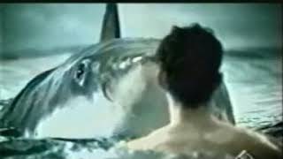 [IT] Arena Swimwear (2002) - Playful Shark (commercial)