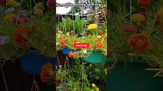 বর্ষার 7 রকমের ফুলগাছ🌺|Top7 Flowers Plants❤|বর্ষার ফুলগাছ🌷|gardening video #trending #shorts #flower