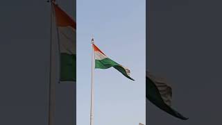 Indian Independence Day | Happy Independence Day |#india #tricolour #harghartiranga #monikagupta