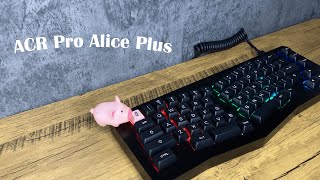 Akko ACR Pro Alice Plus Unboxing | Thocky?