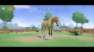 Equestrian the game , Game play! #4 Revealing the Foals!  Part 2