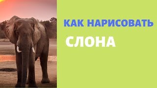 Как рисовать слона - ЛЕГКО И ПРОСТО за 15 минут!