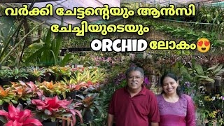 ഇതാ ഒരു കിടിലൻ garden tour 😍/Orchid plants/malayalam/