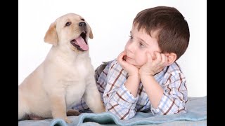 BEST PUPPY EARLY LEARNING TIPS