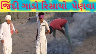 જિંદી ગાડો રિસાયો  પેણવા// Ziddi gado richayo penava gujarati comedy video #jay babri comedy