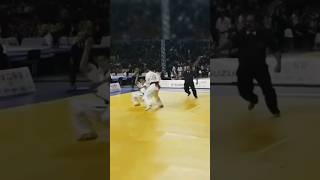 Knockout Kyokushin Karate Uchi-Mawashi geri kick #kyokushin #shinkyokushin #knockout #karate