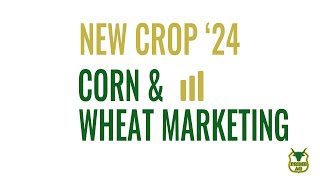 Grain Marketing 2024 | Corn & Wheat