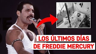 ¡ESTO hizo FREDDIE MERCURY 1 día ANTES de MORIR!