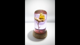 Woodturning - How to make this Butterfly composition in resin and wood