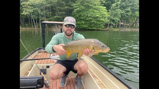 Carp on Cicadas Discussion: What you need to know about fly-fishing for Carp during the Cicada hatch