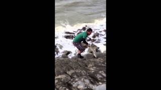 Keeper Size Leopard Shark Caught at The San Leandro Marina by Verdugoadventures!