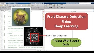 Fruit Disease Detection Using Deep Learning | CNN | Matlab Code | Machine Learning |Image Processing