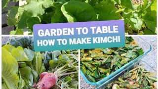 How to make kimchi // Garden to table