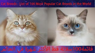 Cat Breeds - List of 100 Most Popular Cat Breeds in the World قائمة100سلالة قط الأكثر شهرة في العالم