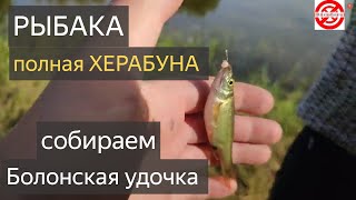 Разобрали ХЕРАБУНА на запчасти.ГОТОВИМ удочку БОЛОНКУ для НОВИЧКА.снасти Сэнсэй Митрич Нива и рыбаки