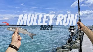 The Mullet Run is HERE!!! (New PB) | Sight Fishing Giant Snook | FloridaMan Fishing