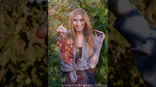 Виноград Юлиан. Плодоношение в сезон 2016г. после апрельских заморозков.Table Grapes Julian