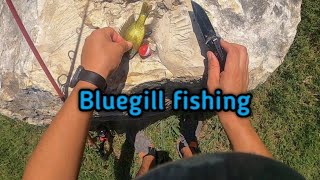 Afternoon Bluegill Catching Session