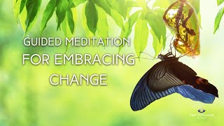 Embracing Change: 7-Minute Guided Meditation for Openness and Resilience