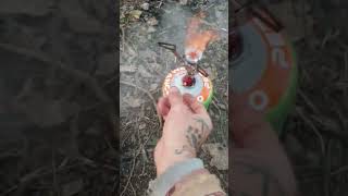 Cooking A Charizard #charizard #cooking #camping #short #shorts #nature #pokemon