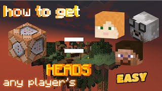 How to get player head in Minecraft 1.16 - 1.14