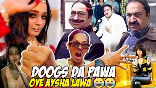 Doogs da pawa OYE aysha lawa 😂 karsaz vali chrasi churail