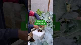 Filosofi Berkebun #filosofi