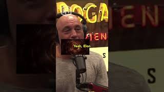 Joe Rogan And Elon Musk Smoking Weed NFTs Explained The Difference #Shorts