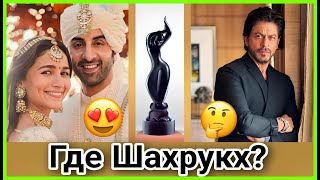 Индийский Оскар 'Фильмфеэр'/Filmfare Award 2024 #bollywood #news