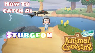 How To: Catch the Sturgeon in Animal Crossing New Horizons