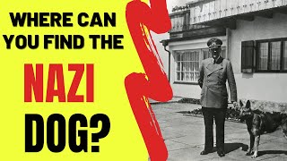 Where Can You Find the NAZI Dog?