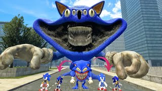 Sonic Gran Maja vs Super Sonic vs Shin Sonic tapes family in Garry's Mod!