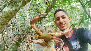 Este Cangrejo Rechazó La Carnada y Lo Sacamos a La Fuerza | Pesca y Aventura