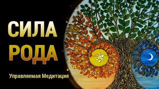 Медитация Сила Рода 🌳 Восстановление Связей с Генеалогическим Древом