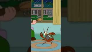 Family guy Iraq lobster part 2 #familyguy #shorts