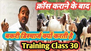 Bakri Gada Discharge Kyu Karti Hai |Vimal Umrao Training class 30